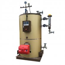 供应LHS0.3-0.7-YQ蒸汽发生器 水泥制品养护用蒸汽锅炉