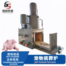 柏创 供应动物尸体焚烧炉 病死动物无害化处理设备 宠物殡葬炉