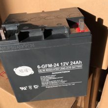 ͨ6-GFM-12㽭ͨ12V12AHά