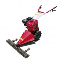 ݻƵ ʥ³170ݻ ๦ܸݻƵ