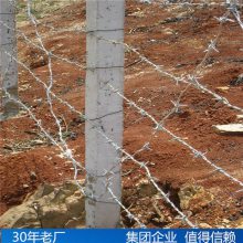 墙头防护网生产厂 加工双股铁蒺藜 猪圈倒刺铁丝网