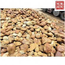 盘溪吨位黄蜡石定制 花园小区黄蜡石设计 假山驳岸石批发