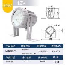 华荣 防爆视孔灯 ABSg-ⅡLED5W ExdⅡCT6,WF1低压防爆灯12VAC