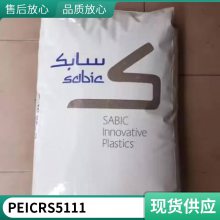 PEI  CRS5111 עܼ ͻѧ е 
