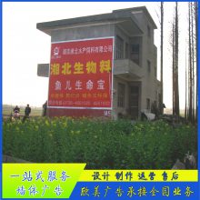 海口墙体彩绘 选择欣美工人 认真负责 涂料环保保持时间久