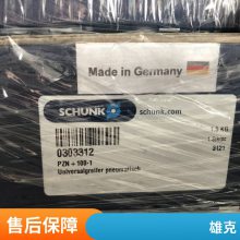 ¹SCHUNK 303852 GSM-P-50-IS-E-180