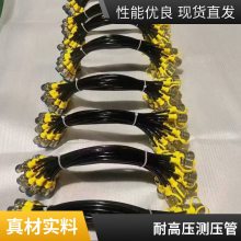 CNG输送树脂软管 尼龙耐油管 高压增强测压管 加气软管总成