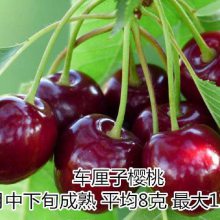 Сδӣӣ_ʹӣ_ɻ***ӣֻ