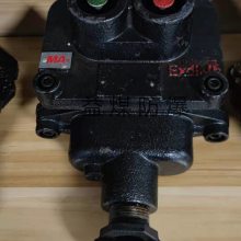 BZA10-5/36ưť Ӧú÷ưť