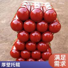 鑫文浩铁矿石|塑料槽形托辊|码头|D108|D194|供应厂家