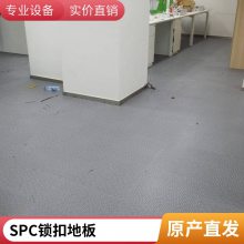 SPC石塑地板 锁扣式PVC地板生产加工 家庭办公楼公寓6mm厂家