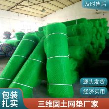 咸宁世杰EM4 EM3三维植被网 护坡固土网垫 抗冲刷 加筋防护