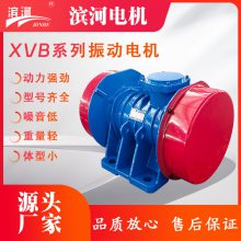 滨河XVB-50-6振动电机,IP55防护设计,安全更可靠