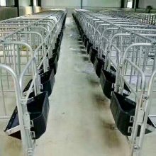 养殖设备 猪场限位栏 加宽加厚材质 凯胜畜牧