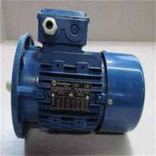 Marelli MotoriA4C160 MA2