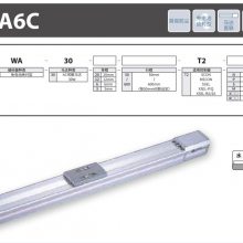 IAI-RCS2ϵ 
