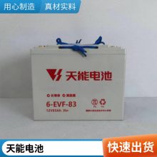 6-EVF-100綯ϴػ12V100AH泵ֵ