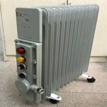 ú¼ȡůԶ¿طȡůRB-2000