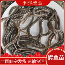 硿ֱֳɿ ŷ 