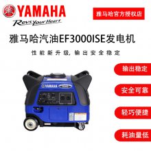 ԭװƵEF3000ISEͷ220v3kw