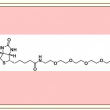 ƹӦBiotin-PEG4-azide,1309649-57-7,-ľҶ-