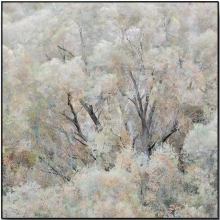 ƵװƴҶװλ֮51Aƻ