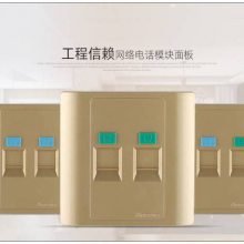 տAMPCOM  CAT6A˫ 5GߵԿ˫ 305