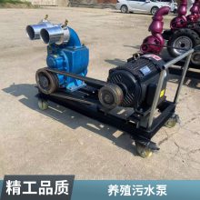 綯3 3 2ֳݳ