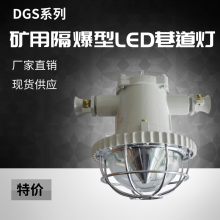 DGS LED矿用隔爆型厂家 18W ***钢化玻璃 硐室照明