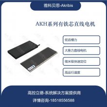 ߿ ȫ ſƱ˼ akribis AKH200-TL432-E ***֧