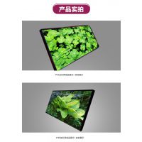 Ƶ  سLED СLED ȫP1/P1.66/P1.83/P2ȫҶ