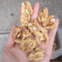�����ʳ��ڹ��� Զ����ó��ͷ· �㽭���ں��ҳ��ڹ���