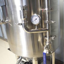 方联精酿啤酒发酵罐独立控温设备酿酒发酵罐啤酒罐100-500升发酵罐