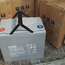 FIAMM蓄电池12SP55直流屏UPS电源12V5***H铅酸免维护电瓶