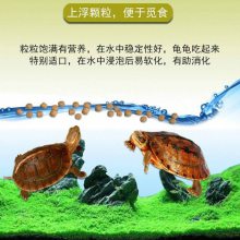 膨化螺旋藻锦鲤鱼粮加工机器 龟场自用龟饲料生产线