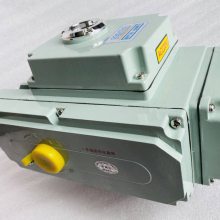 SENMA4-20am綯AC220VִTD971X׵