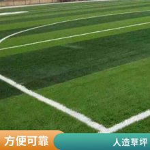 加密草丝 彩色人造草坪 楼顶绿化装饰 加厚双层背胶 纵锐翔