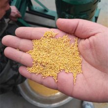大豆脱皮碾米机 玉米脱皮机 宏兴机械