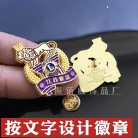 狮子会服务队徽章定制设计制作金属胸章纯铜徽章胸针珐琅徽章定做