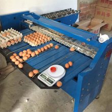 鸭蛋重量分级机 种蛋分选机 家庭作坊适用蛋品分拣机