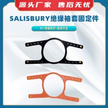 ЯʽԵ״洢salisbury״H1ģѹ̶