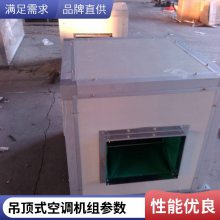 吊顶式中央空调通风设备恒温恒湿远程射流机组直膨组合式新风机 酒店商场净化型中央空调