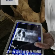 Bձۼ۸Ǯ