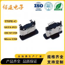 micro 2PIN ֱĸ USB ƶȳ