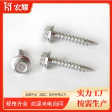 304/316 ͷԹ˿ ľݶwood Screw