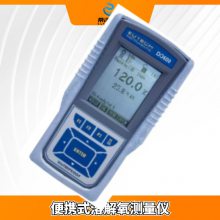 美国奥立龙DO600便携式溶解氧（DO）仪 溶氧仪