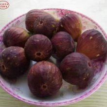 ޻硢ɫ޻硢ɫ޻