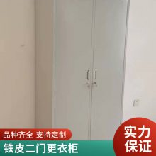 现代简约两层二门更衣柜 防火防磁置物柜 家庭用钢制铁皮柜