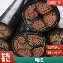 电力电缆 阻燃高压聚乙烯绝缘电缆 铜芯电缆线 辉达