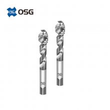 OSG/ŷʿ˿׶˿EX-AL-SFT